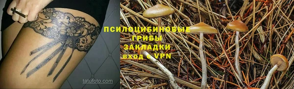 не бодяженный Медногорск
