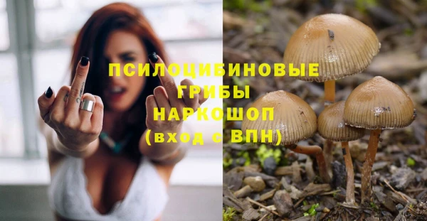 не бодяженный Медногорск